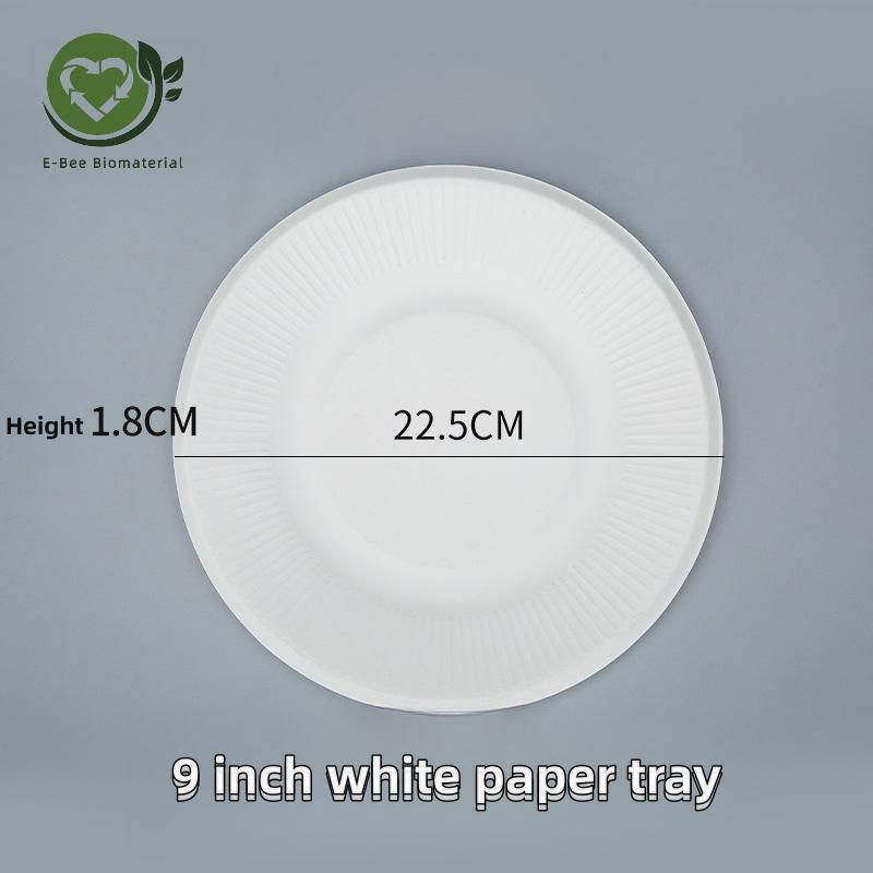 9 Inch Compartment White Bagasse Paper Plates foar Party